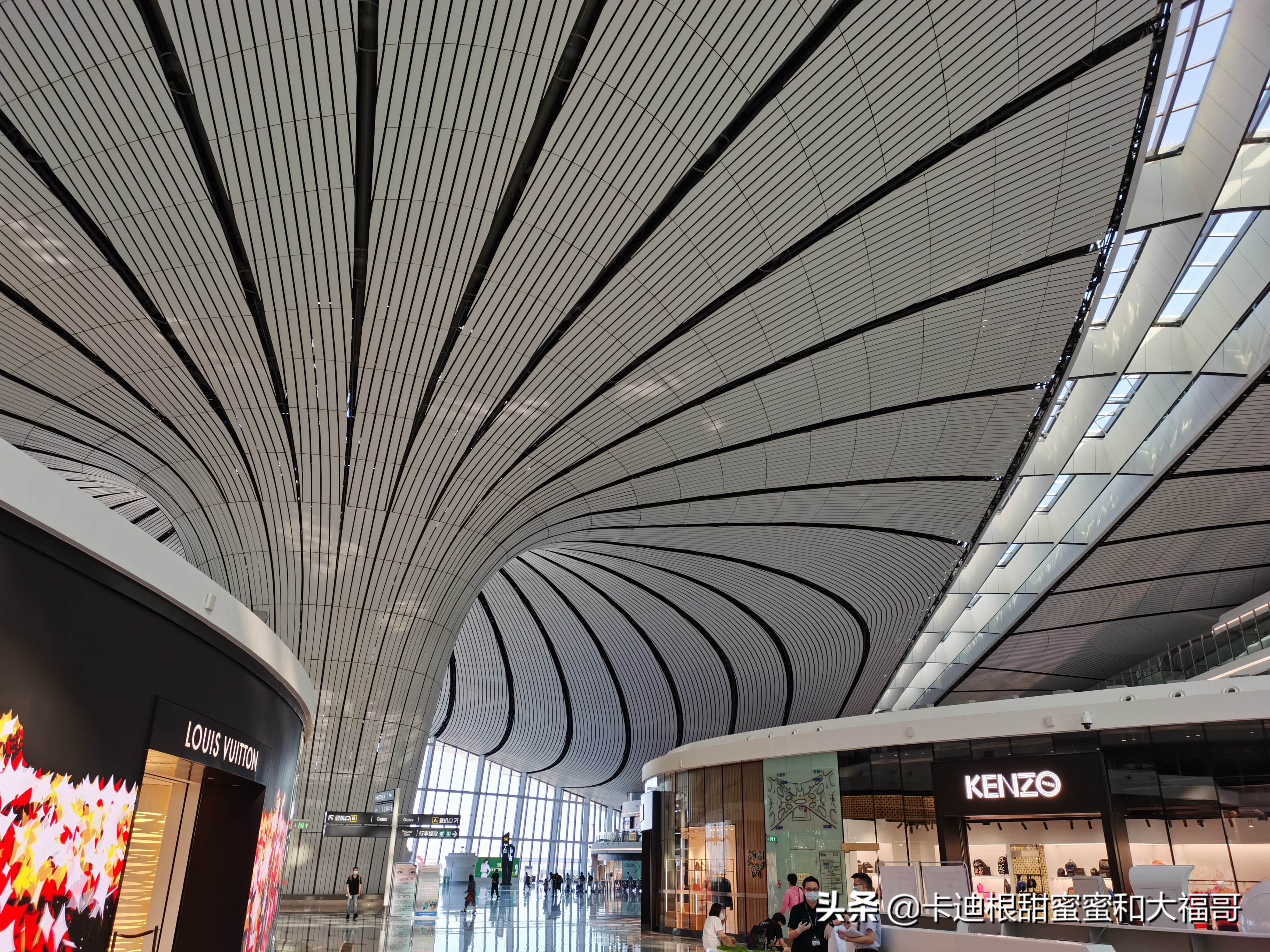 记录卡迪根柯基小甜妞第一次当妈妈：（一）疫情期间配种