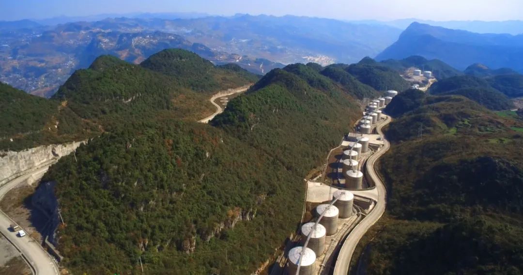 郎酒哪种酒值得收藏,贵州十大酱香名酒郎酒