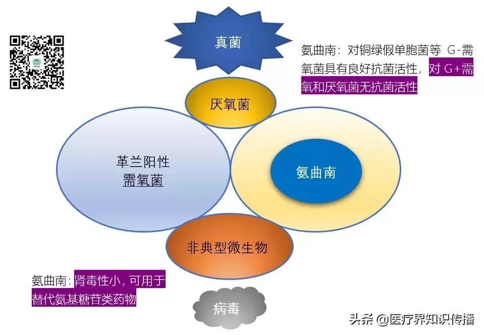 抗菌药谱大全及图片,抗菌谱图解大全