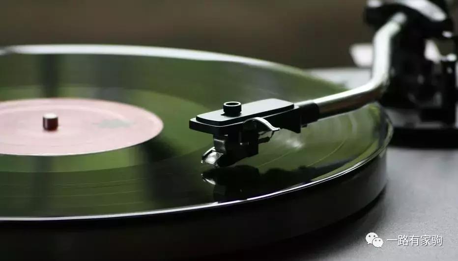 如何评价一首歌曲的旋律,怎么分析一首歌的律动