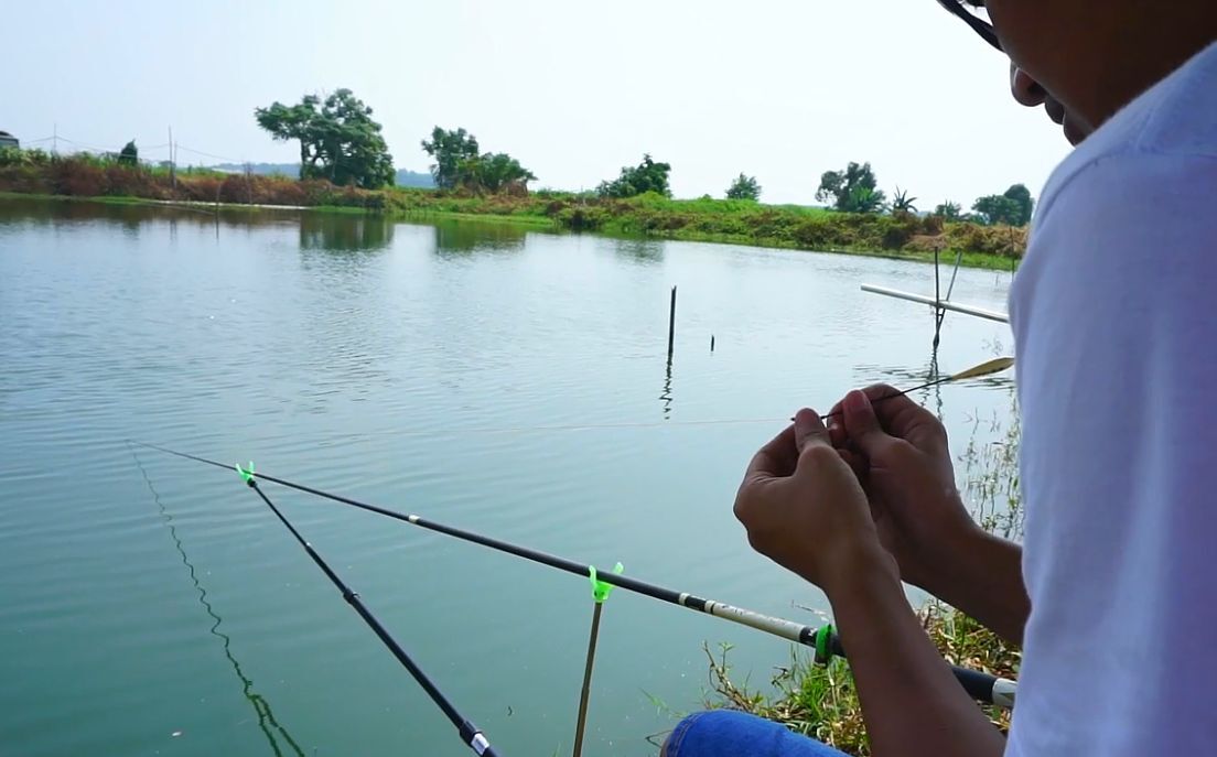 长江禁钓解禁时间,长江禁渔期解禁钓鱼