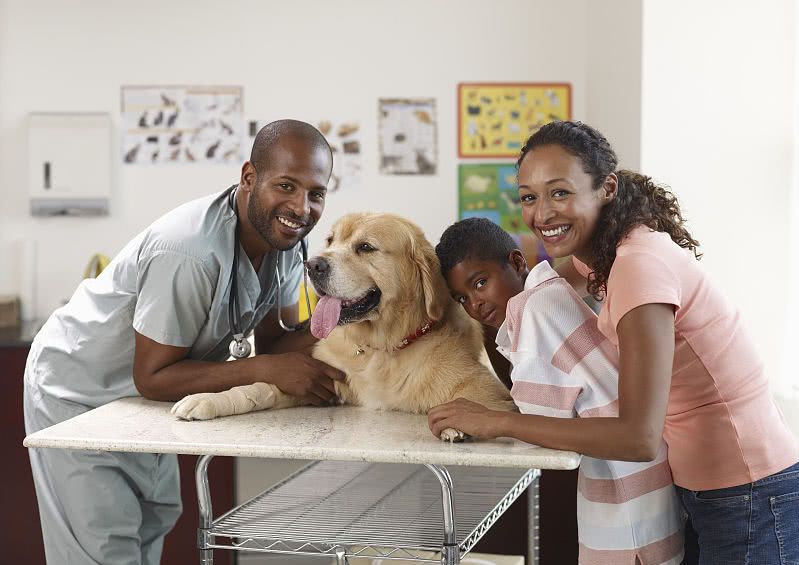 想买金毛,想买金毛去哪里买