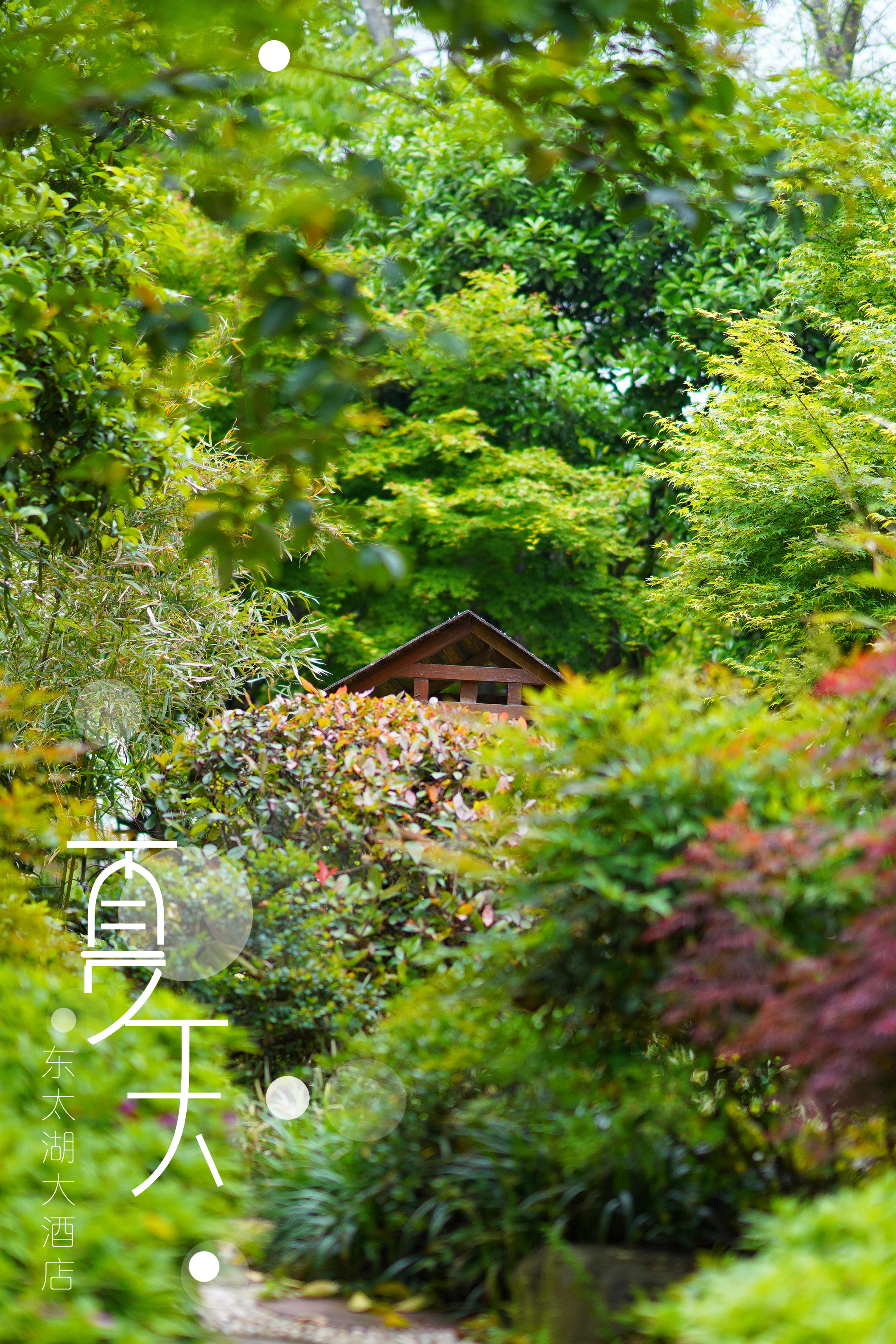 送你一份不走寻常路的苏州攻略，田园风民宿+文艺小清新打卡地