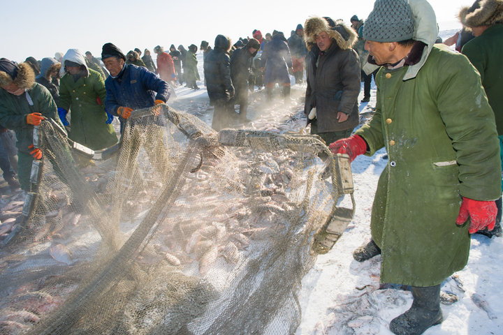 东北全鱼宴 (东北最正宗的全鱼宴)