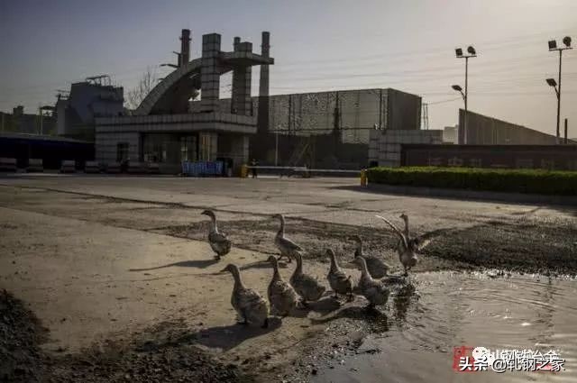 唐山钢厂停产下岗，有人月入8万，有人借钱生活