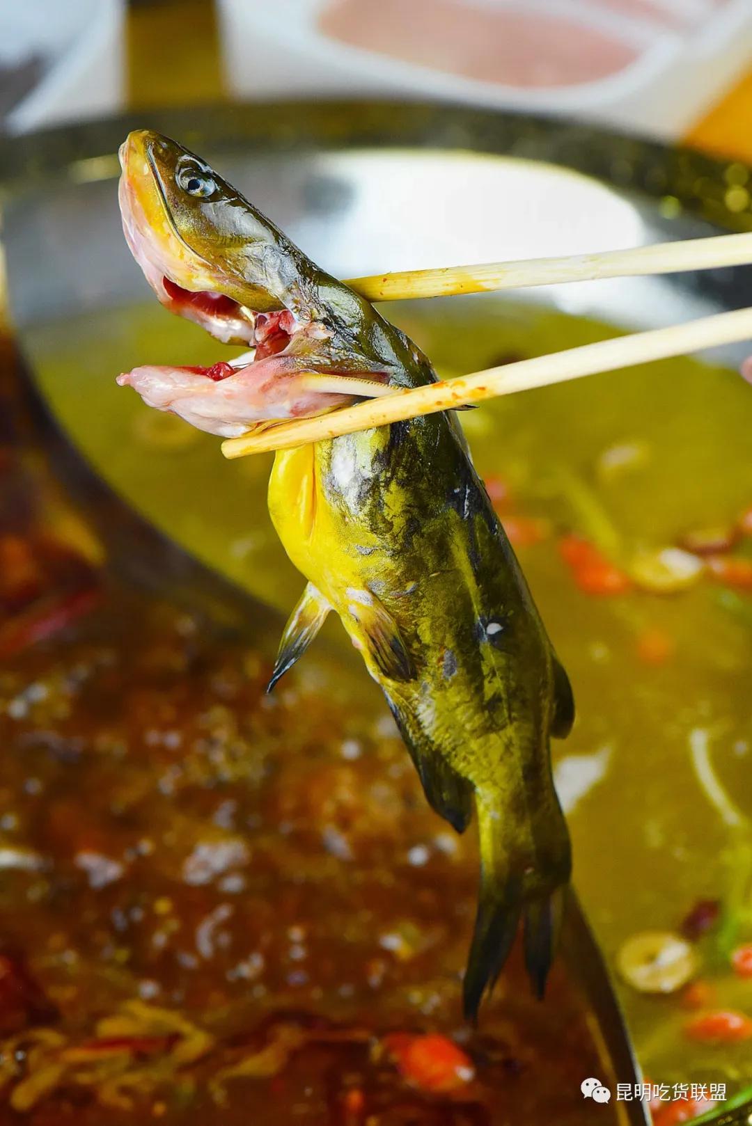 自助涮羊肉火锅昆明,昆明涮羊肉自助美食