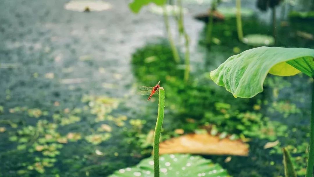 古人说富不过三代是真的吗,老古人说的话富不过三代
