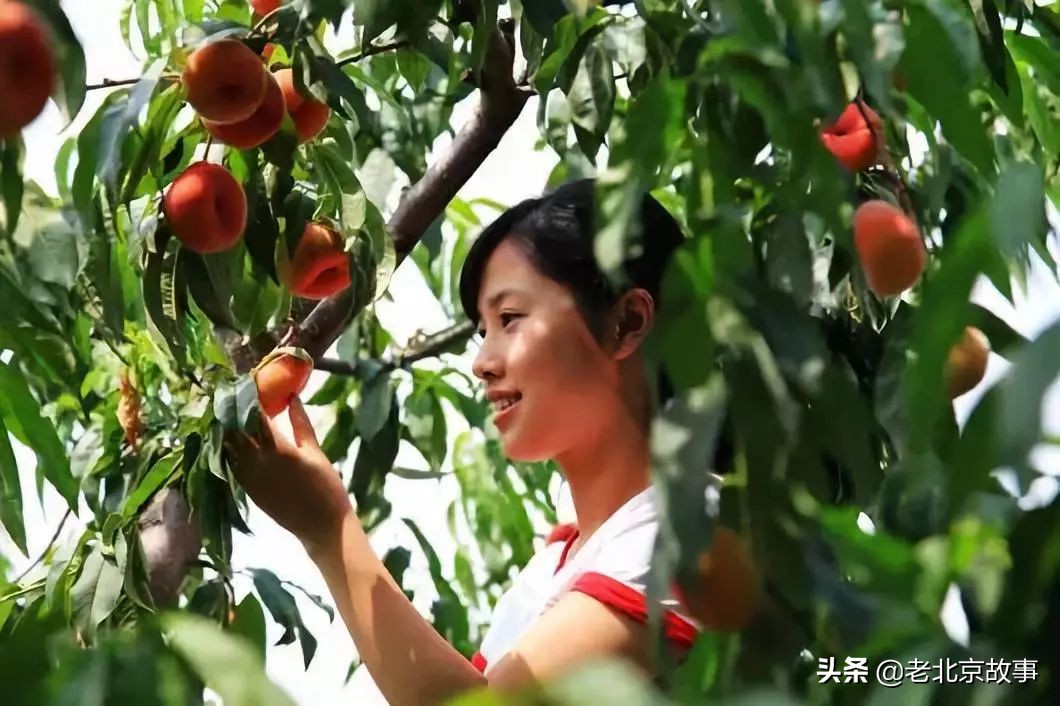 在北京生活的神奇感受,在北京生活中的感悟