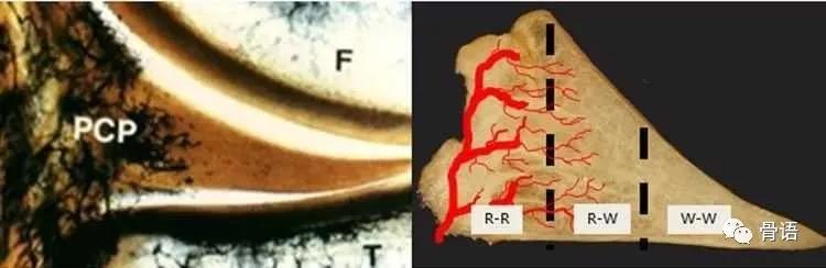 致敬韦德踩球,致敬韦德迷踪步