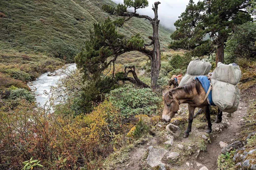 世界公认的步道 (全球最难走的步道)