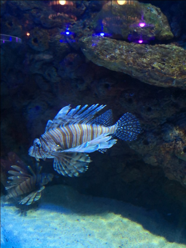 北京工体富国海底世界周一营业,北京工体富国海底世界旅馆