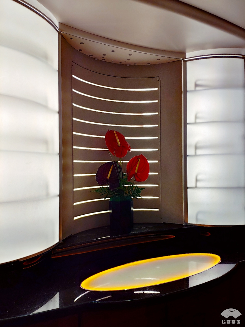 阿联酋航空a380头等舱套房解说 (土豪体验阿联酋航空a380头等舱)