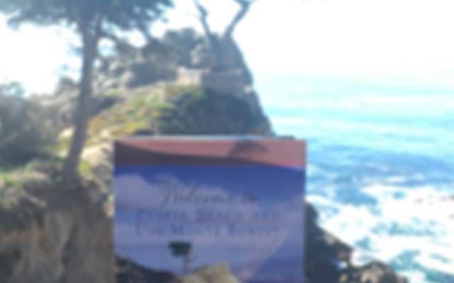 一家三口去美国被拒签的机会大吗,一家四口美国签证