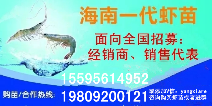 这项技术到底有多牛,一项高科技的运用范围和优缺点