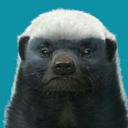 平头哥为什么和朋友玩耍,平头哥为什么没有退路可言