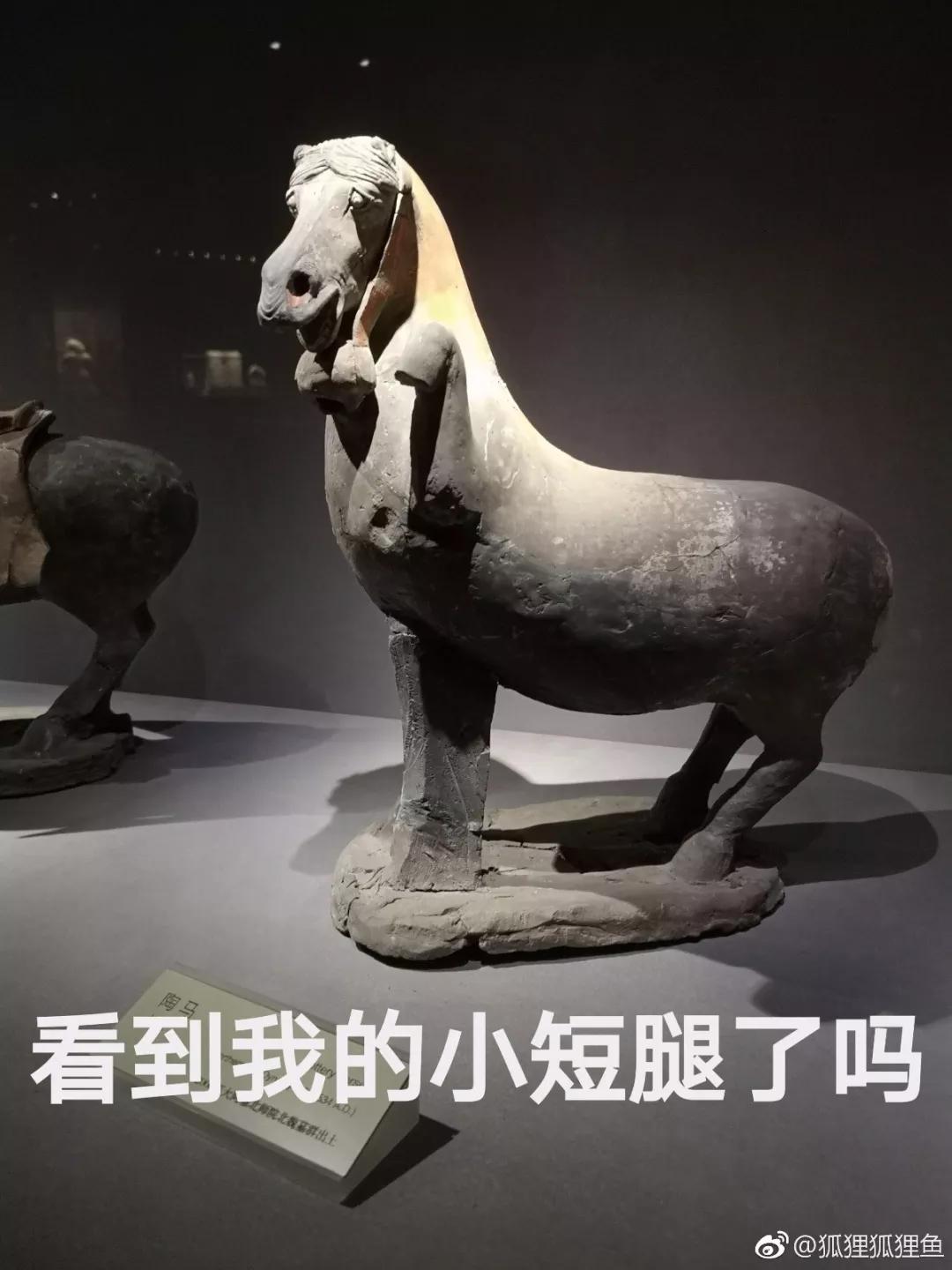 浣犵煡閬撳摢浜涗綘鎯宠鐨勮〃鎯呭寘,鐪嬬湅浣犱滑鎯宠鐨勮〃鎯呭寘