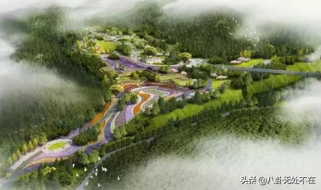 2020年，青海这么多好事等着你