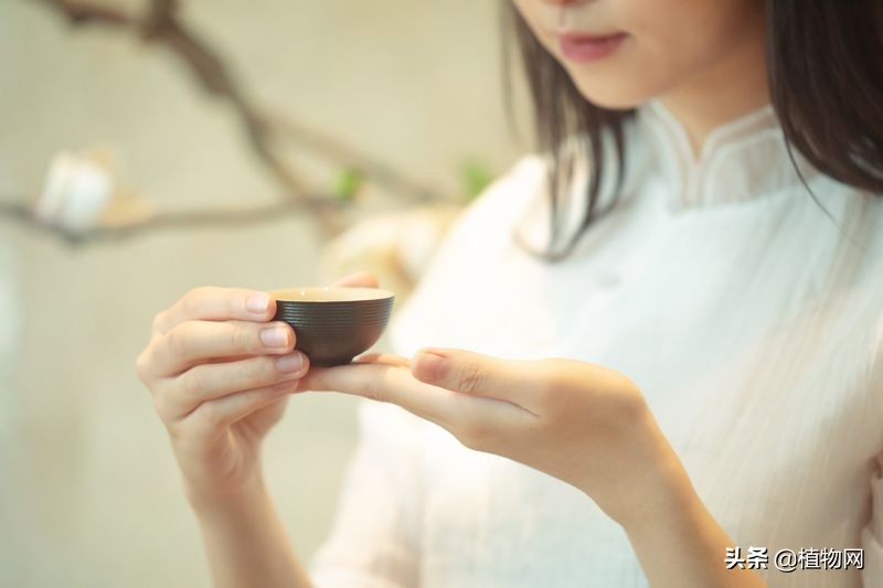 茶中回味甘甜的成分,茶生津与回甘的区别