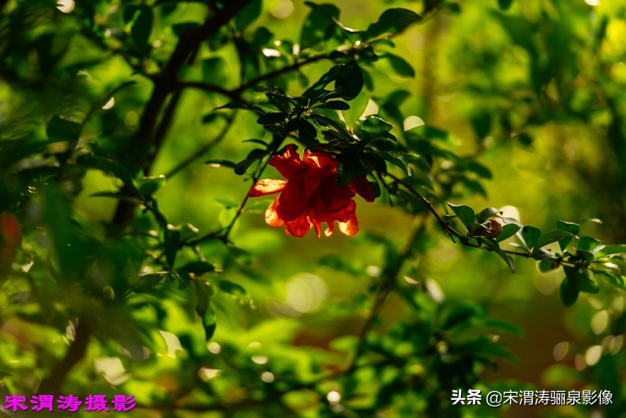 健身休闲绿道,临渭区渭河南堤渭河生态运动公园