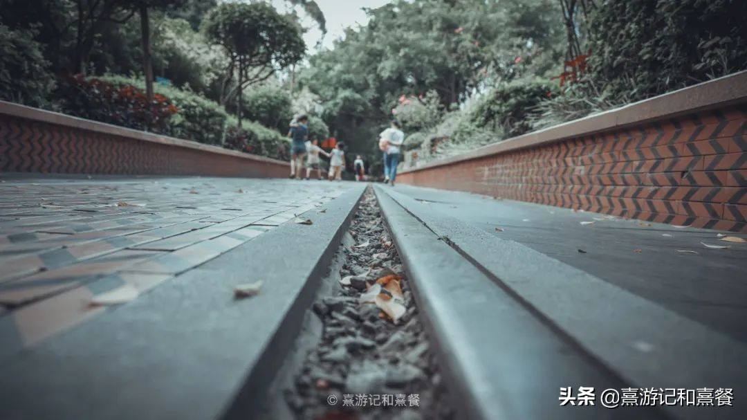 去厦门必须体验的六件事,送给第一次去厦门的五点建议