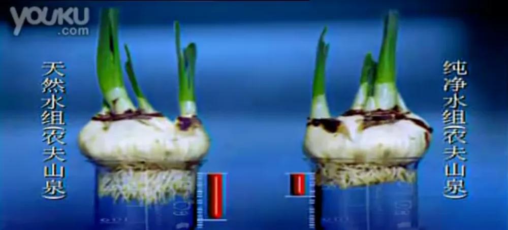 农夫山泉广告我们不生产水,农夫山泉我们不生产水广告原版