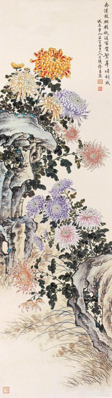 菊花的品格和精神,菊花的美丽什么意思