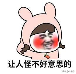 福特野马试驾平民级,25万左右买哪年的福特野马