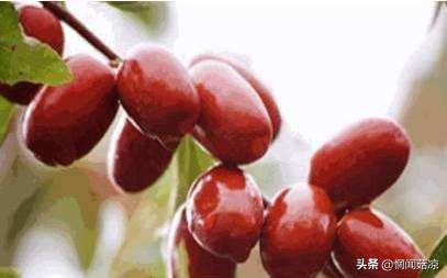 扒一扒那些惊艳了你的名字,扒几种你不一定吃过的水果