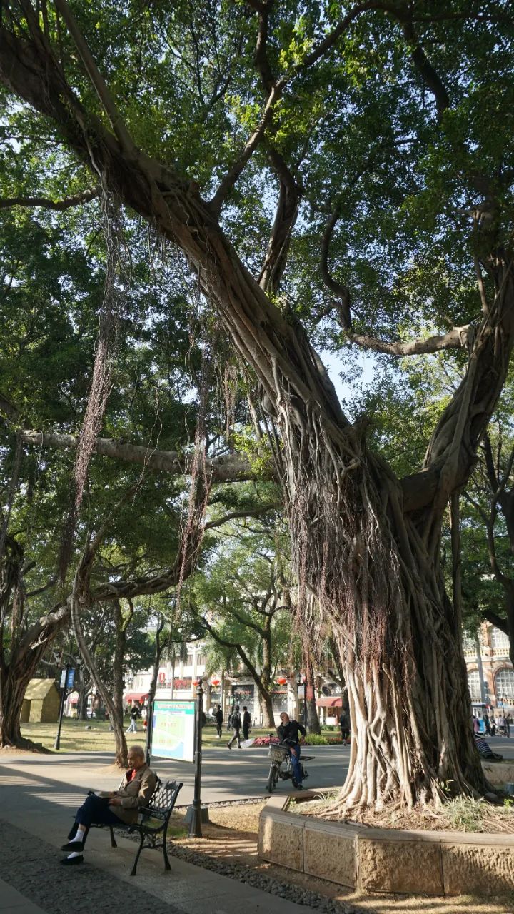 广州最北的地方,广州景区沙面岛