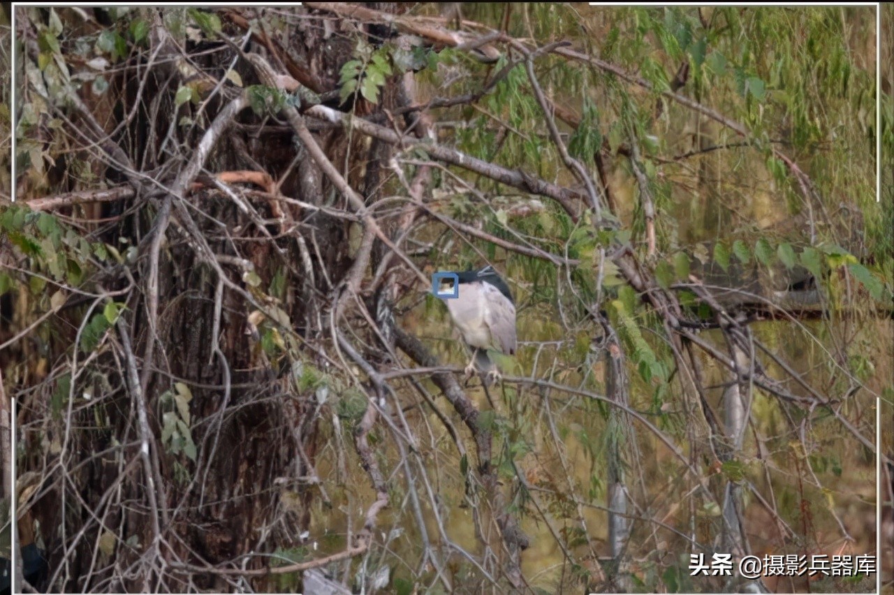 佳能eosr跟rp哪个好,佳能eosrp深度测评