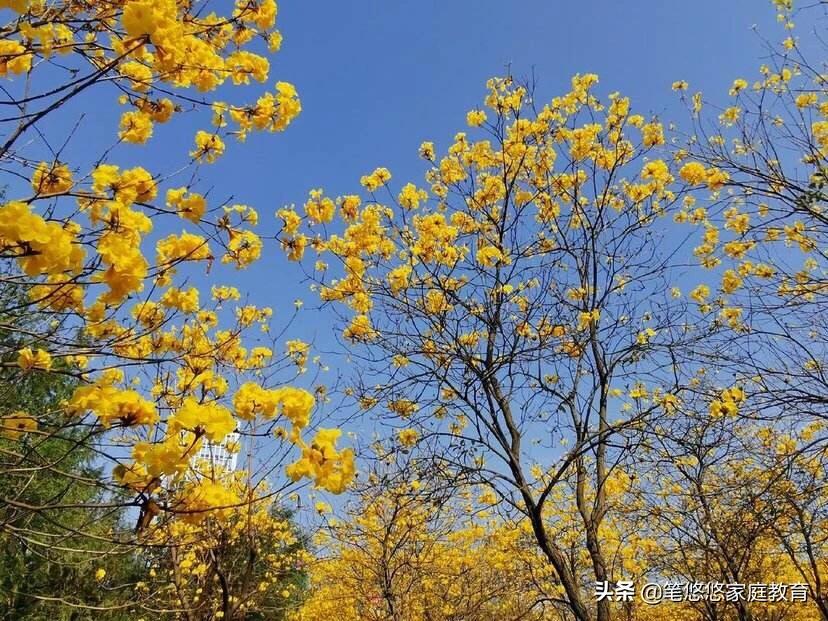 5分钟消除疫情焦虑,随时随地都可以做的意象沙游太简单有效啦!