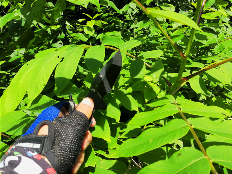 汉道洛克x生存刀暴力测试,户外生存实用工具推荐