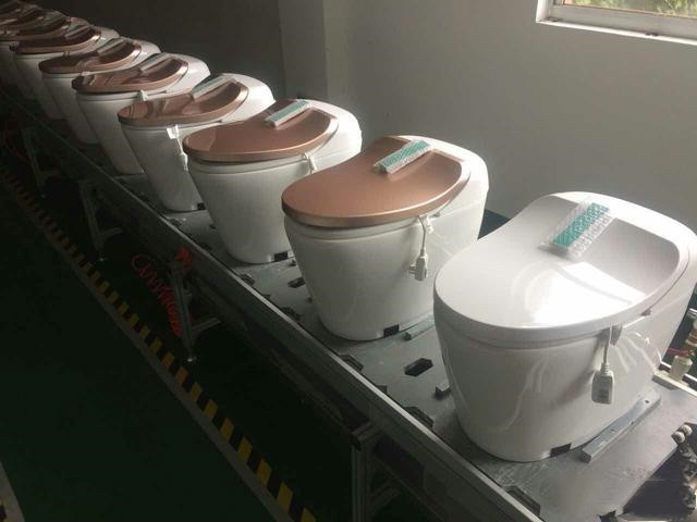 “过来人”告诉你，选择“智能马桶”应该注意哪些问题