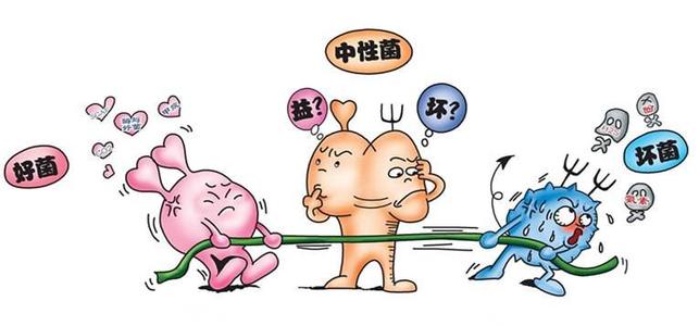 为什么医生不建议提高免疫力,为什么医生不建议免疫治疗