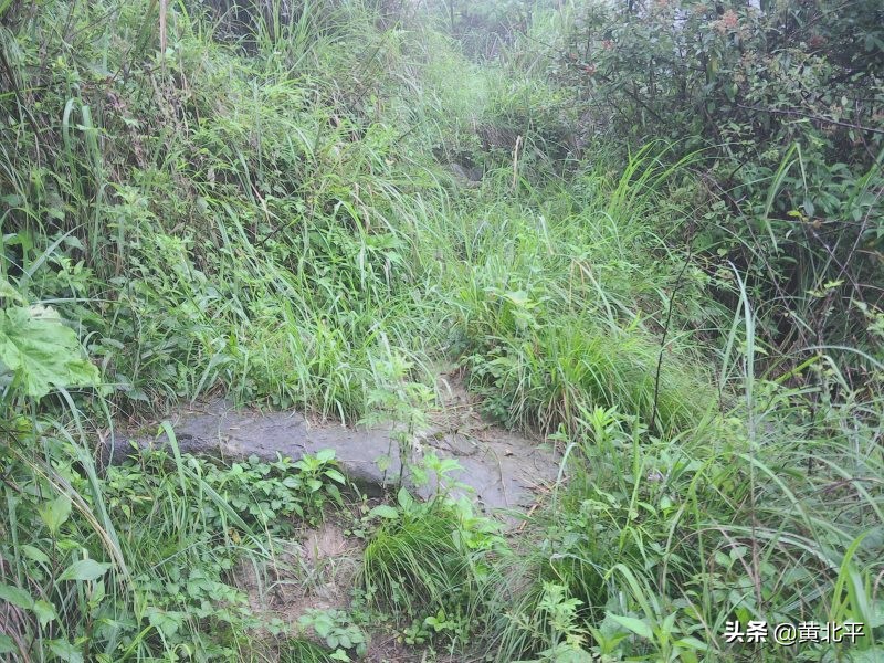 正安县何家山古道,贵州遵义安场古道