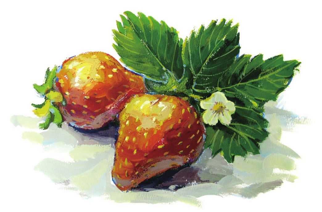 透明碗装草莓水粉怎么画,怎么用水粉颜料画草莓
