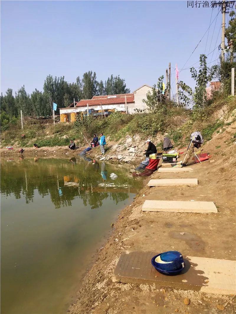 2019钓鱼日记,钓鱼笔记视频