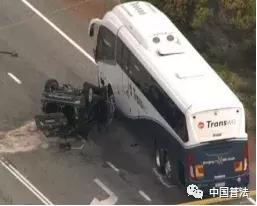 中国水怪未解之谜,水怪未解之谜视频