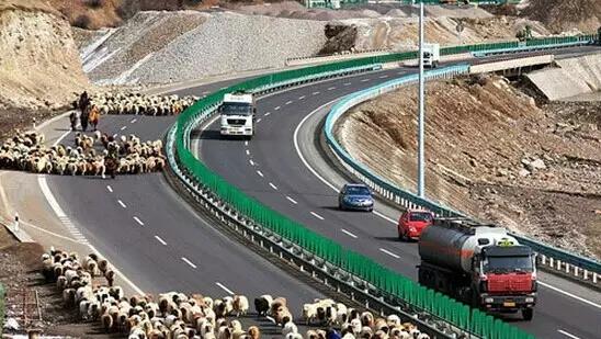 新疆十八怪最新消息,十八怪新疆版完整版