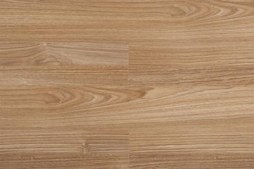 金丝柚木万木之王,缅甸柚木万木之王