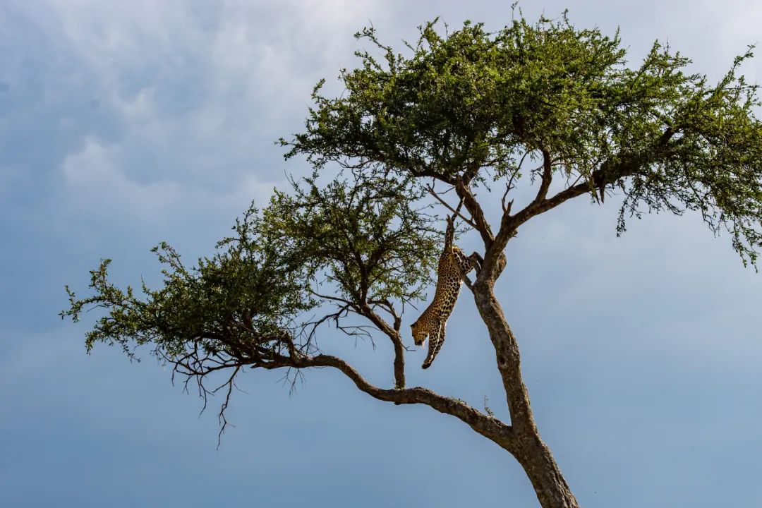 香港第14届全国摄影艺术展,第29届全国摄影艺术展览获奖名单