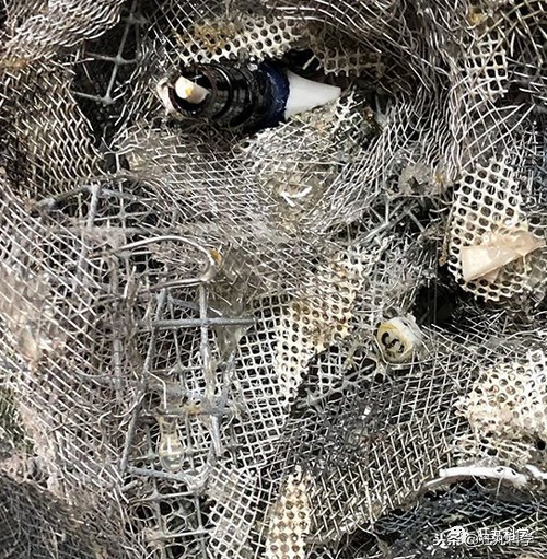 閫忚澶栨寕鐪熺殑鍋囩殑,閫忚澶栨寕鐪熷疄浜嬩欢