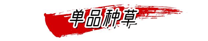 你还在穿小高领吗？这件内搭=很贵