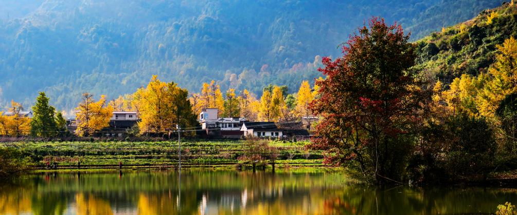 古诗野望的千古名句,《野望》诗词欣赏