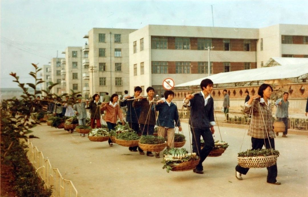 盘点那些很火的裤子,比较火的日本裤子