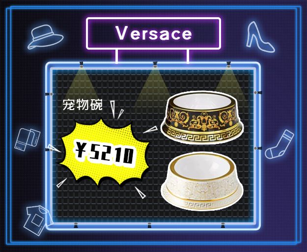 看到它3万块的项圈后,月薪3000的我瑟瑟发抖……