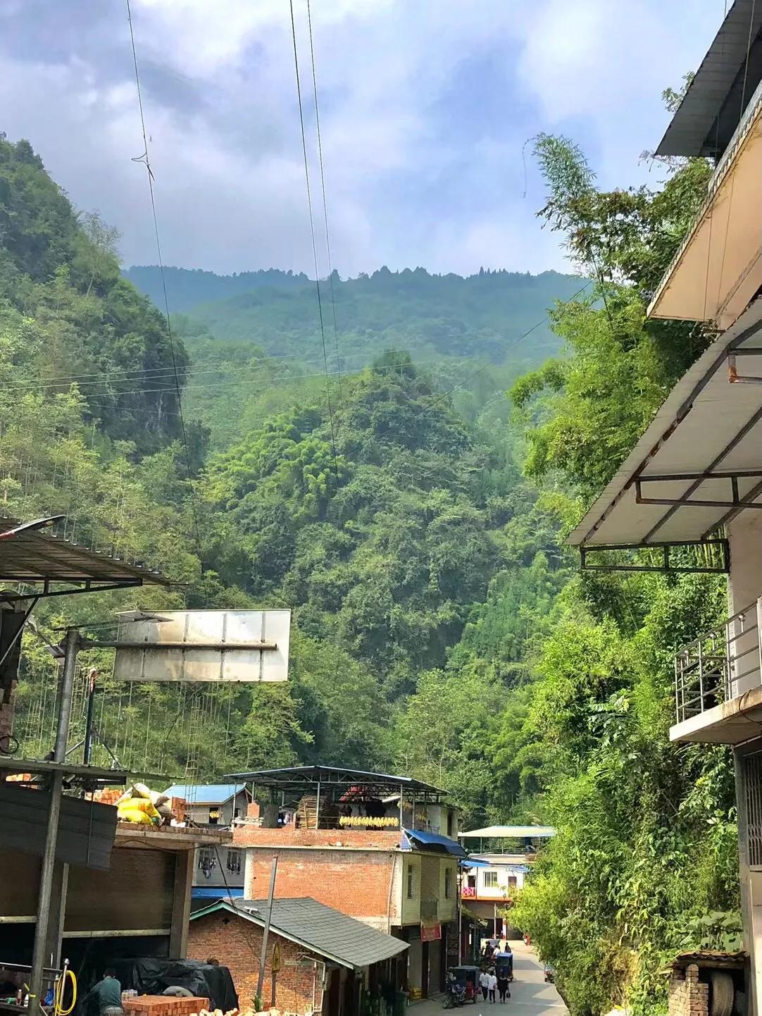 军校毕业在部队20年,军校毕业进入一线作战部队