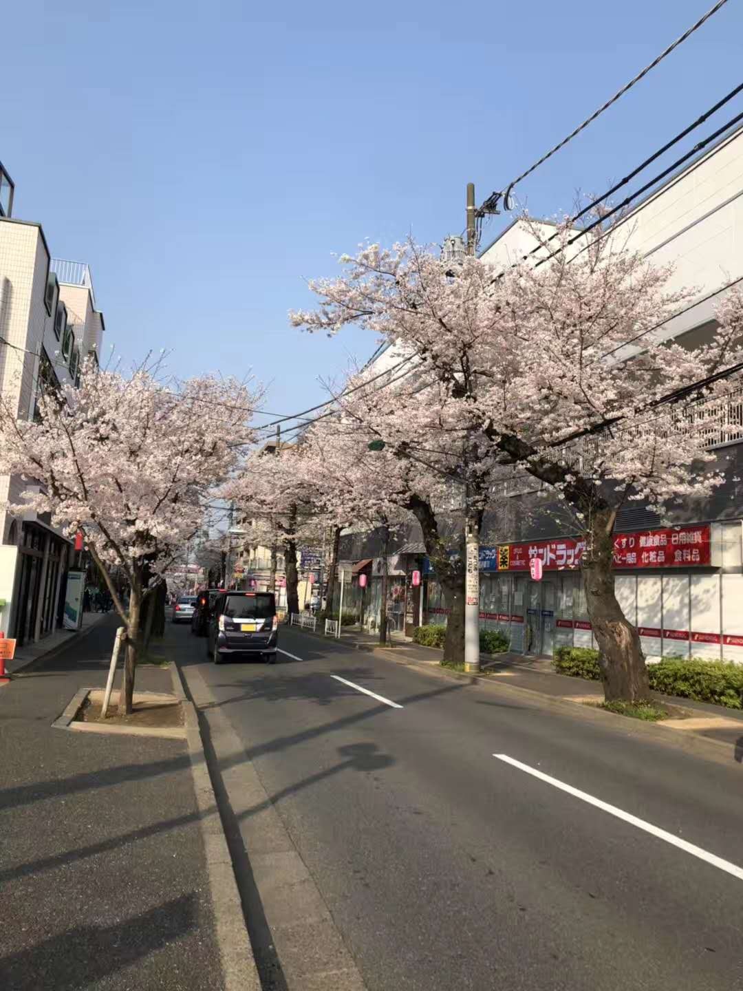 去日本找工作流程,赴日打工需要办什么手续