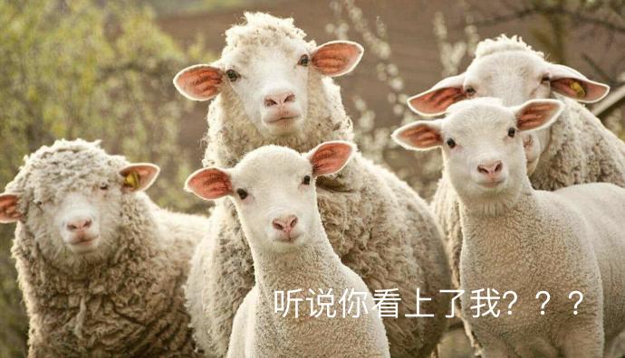 便宜的iphone121元秒杀,优惠500购iphone