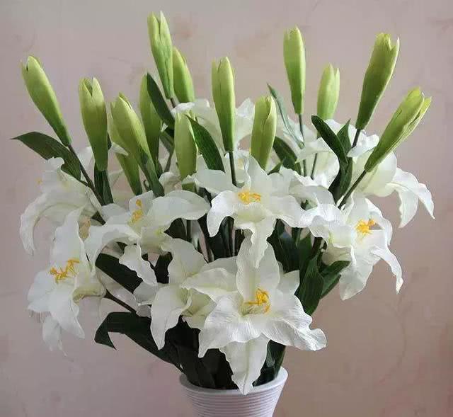 毒花致面部烧伤,女学生被毒花感染